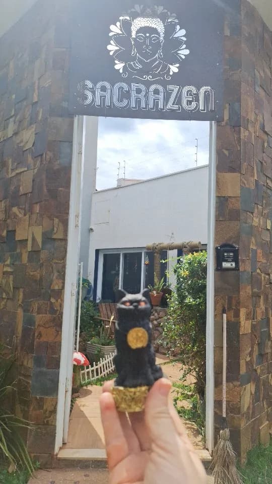 Gato da sorte preto (maneki-neko)
