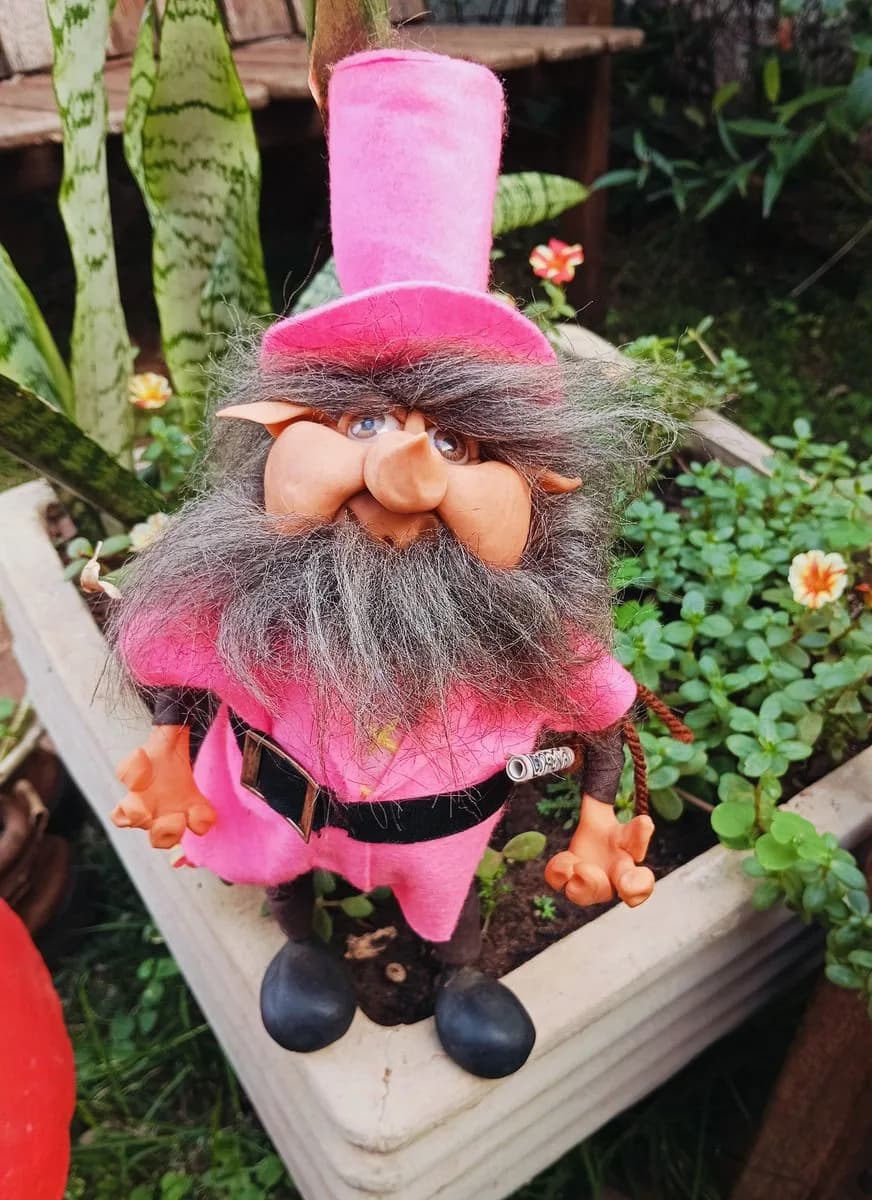 Gnomos (vários modelos)