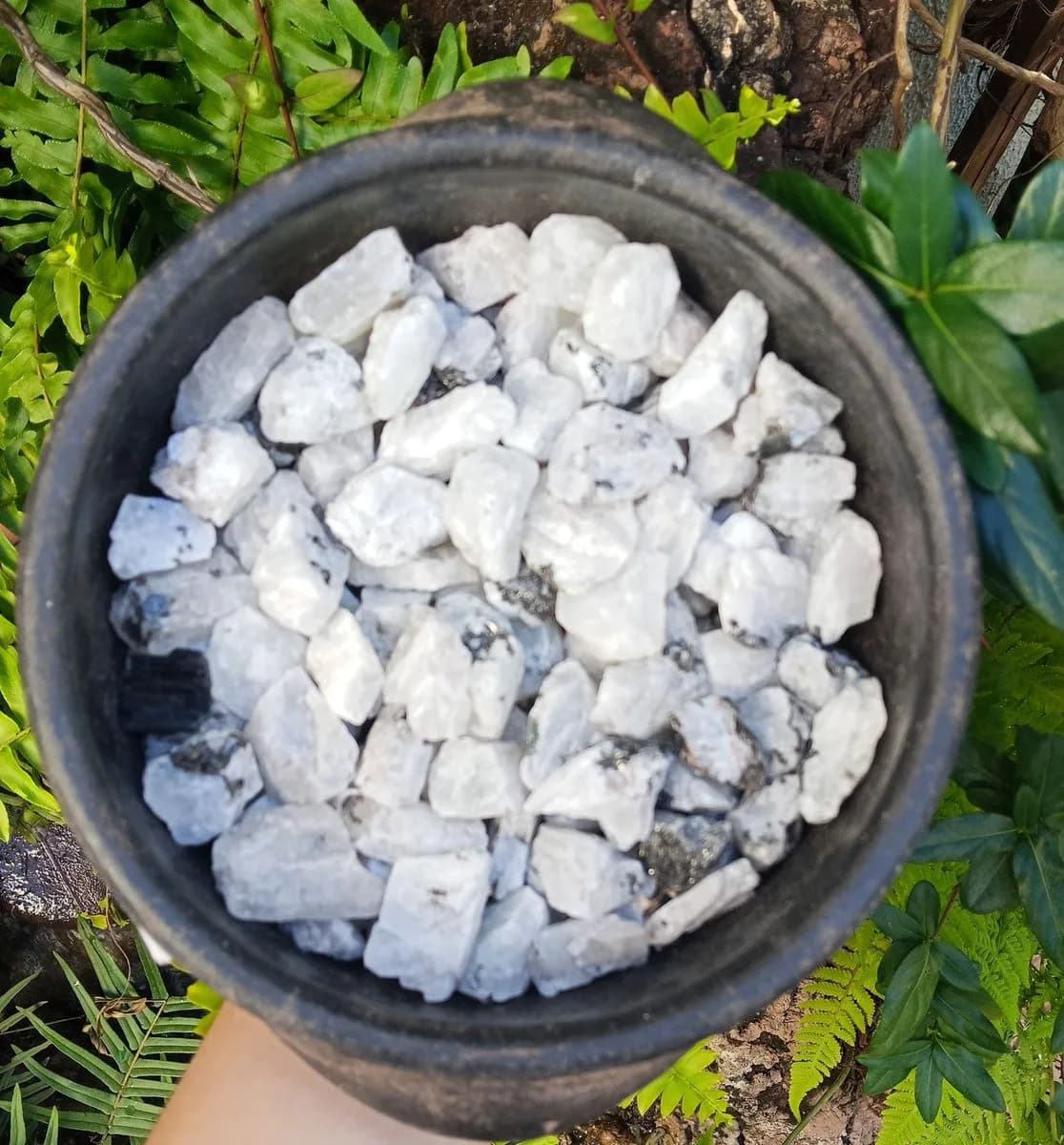 Pedra da lua